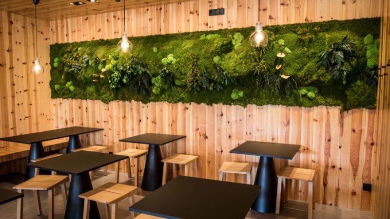 jardim-vertical-liofilizado-greenarea-wood-sushi